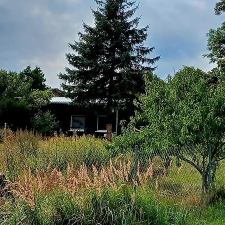 Holiday home Tiny House